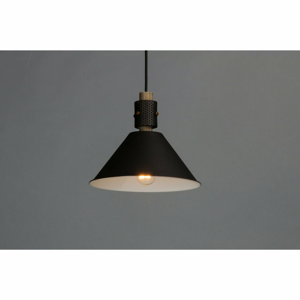 Tryggvi Pendant | Pendants | Maxim Lighting - Light House Co.