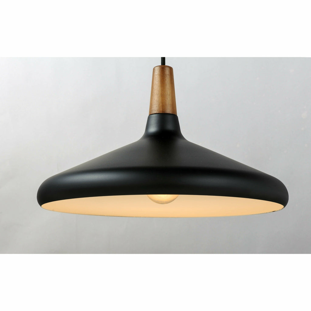 Bojorn Pendant | Pendants | Maxim Lighting - Light House Co.