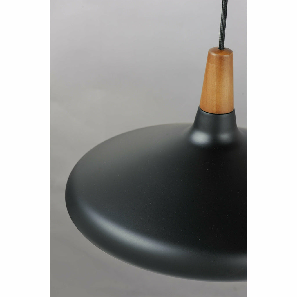 Bojorn Pendant | Pendants | Maxim Lighting - Light House Co.