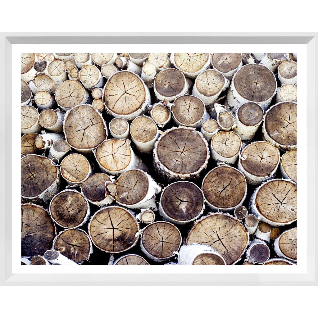 Birch Logs II - Light House Co.